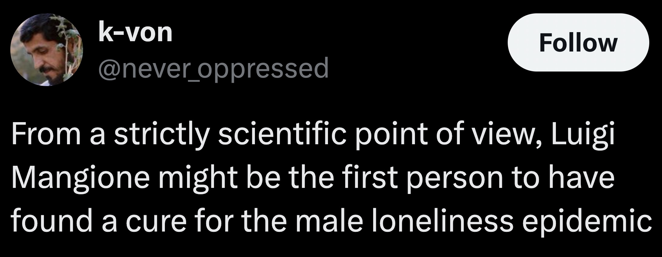 parallel - kvon From a strictly scientific point of view, Luigi Mangione might be the first person to have found a cure for the male loneliness epidemic